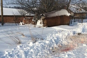 Осъдиха условно собственици на кучета, нападнали и убили баба в Козловец