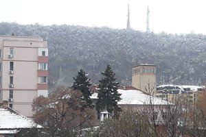 Свищовската гора да стане защитена зона, това предлагат екоинспектори