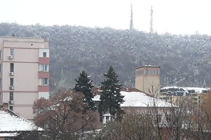 В Свищовската гора намериха мотопед Априля, изчезнал от дома на собственика му